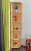 Regal 40 cm breit 200cm hoch