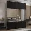 Kleiderschrank / Schiebetürenschrank | Farbe: Schwarz | 11 Fächer | 2 Schiebetüren | 245,5 x 190 x 64 cm | Spiegel | Soft-Close | 2 Kleiderstangen