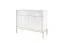 Kommode mit zwei Schubladen Worthing 23, Farbe: Weiß / Gold - Abmessungen: 83 x 104 x 39 cm (H x B x T)