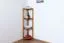 Regal / Eckregal Kiefer massiv Vollholz Erlefarben Junco 61 - Abmessungen: 125 x 40 x 30 cm (H x B x T)