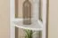 Regal 30 tief 40 breit