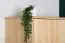 Vorzimmerschrank, Farbe: Natur 195x80x59 cm