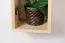 Hängeregal / Wandregal Kiefer massiv Vollholz natur Junco 292 - Abmessung 80 x 25 x 20 cm