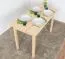 Tisch 120 x 60 Holz