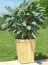 Blumenkasten Alpina 2 inkl. Stoffeinsatz - Abmessung: 45 x 45 x 57 cm (B x T x H)