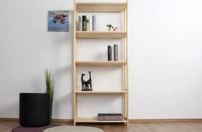 Bücherregal Abbildung