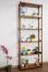 Regal Kiefer massiv Vollholz Nussfarben Junco 54B - 200 x 70 x 30 cm (H x B x T)