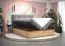 Boxspringbett mit weichen Veloursstoff Pilio 59, Farbe: Grau / Eiche Golden Craft - Liegefläche: 180 x 200 cm (B x L)