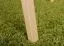Kommode Kiefer massiv natur Aurornis 39 - Abmessungen: 64 x 142 x 40 cm (H x B x T)