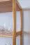 Regal Kiefer massiv Vollholz Erlefarben Junco 55B - 163 x 70 x 30 cm (H x B x T)