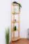 Regal 40 cm breit Kiefer