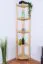 Regal 40 cm breit Kiefer