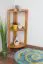 Regal / Eckregal Kiefer massiv Vollholz Erlefarben Junco 62 - 40 x 30 x 86 cm (B x T x H)