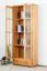 Vitrine Kiefer massiv Vollholz Erlefarben Junco 34 - Abmessungen: 195 x 80 x 35 cm (H x B x T)
