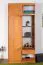 Schrank / Garderobe Paseh 04, Farbe: Erle - Abmessungen: 220 x 100 x 40 cm (H x B x T)