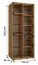 Schwarzer Kleiderschrank Mina mit Schiebetüren, Anti Staubbürsten enthalten, platzsparend, viel Stauraum, 235,2 x 110 x 60 cm, Lamellen in Eichen Optik