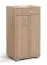Garderobe Komplett - Set B Ainsa, 5-teilig, Farbe: Eiche Braun