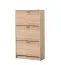 Kleiner Schuhschrank Gradide 01, Farbe: Eiche Sonoma, ABS-Kanten, drei Kipptüren, Maße: 119 x 67 x 28 cm, sechs Fächer, gute Verarbeitung