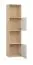 Schmales Bücherregal Aenna 55, Farbe: Eiche / Weiß, verstellbare Füße, hochwertige Verarbeitung, zwei Türen, Maße: 202,5 x 50,5 x 35 cm