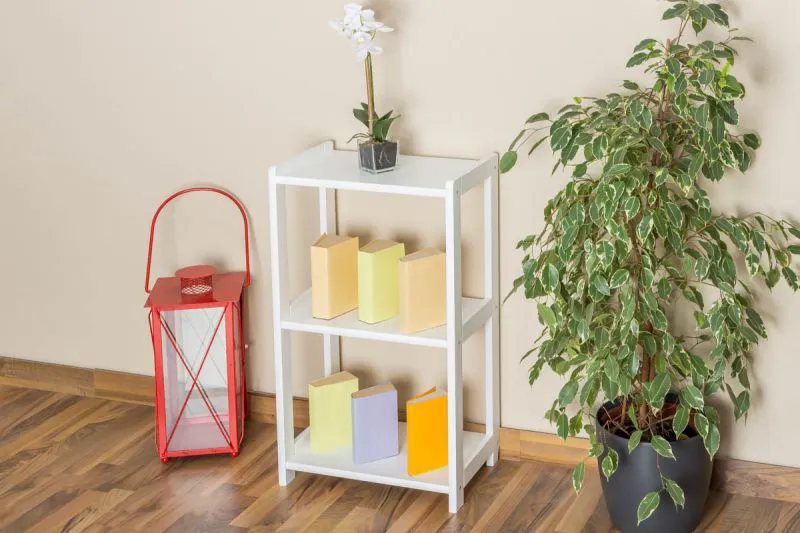 Kiefer Regal 50 cm breit