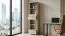 Regal Kikori 17, Farbe: Sonoma Eiche - Abmessungen: 190 x 50 x 40 cm (H x B x T)