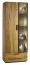 Vitrine Serrator 03, Farbe: Eiche natur geölt / Dunkelbraun - 203 x 79 x 40 cm (H x B x T)